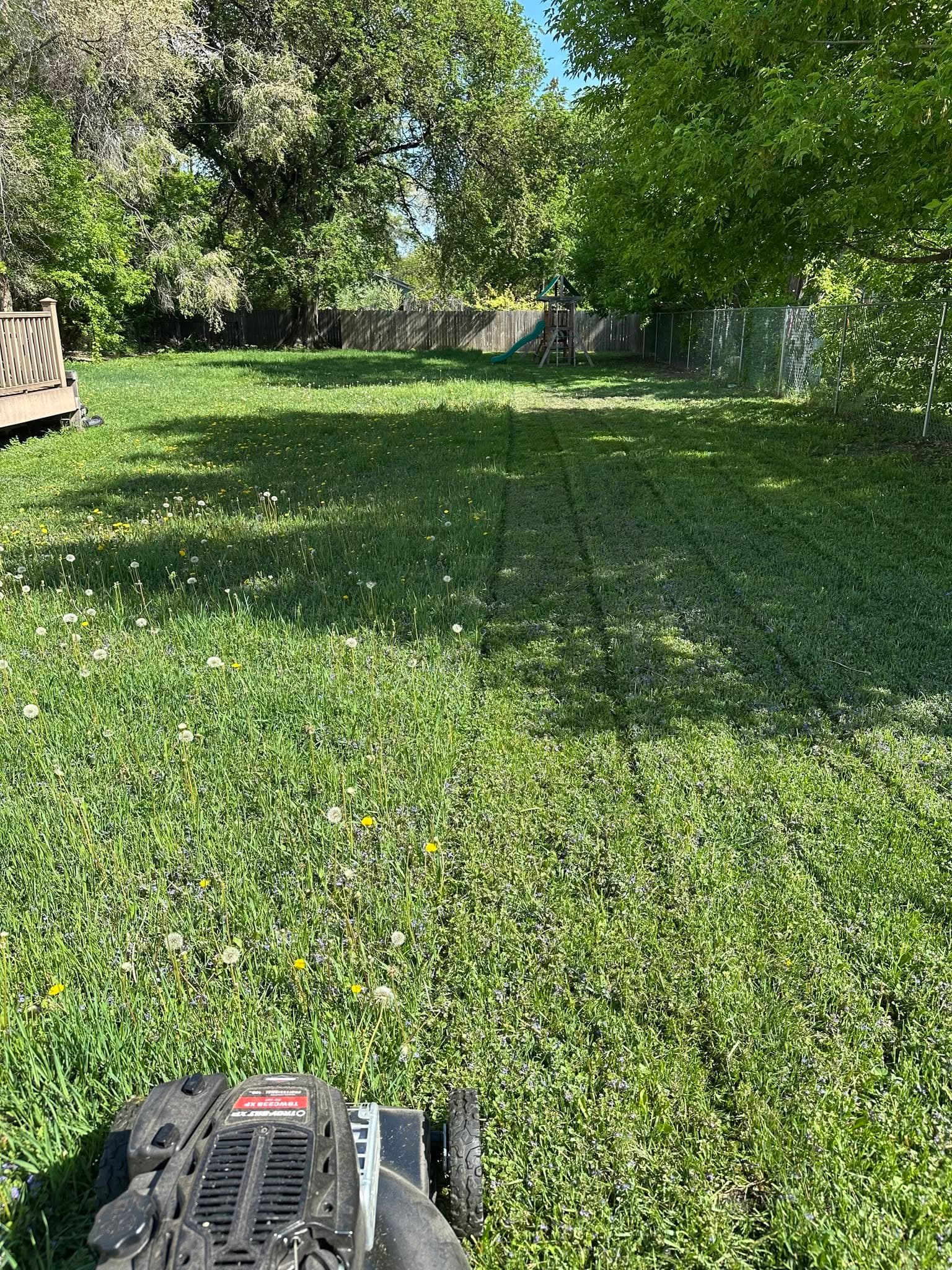 Lawn mowing in progress — half mowed